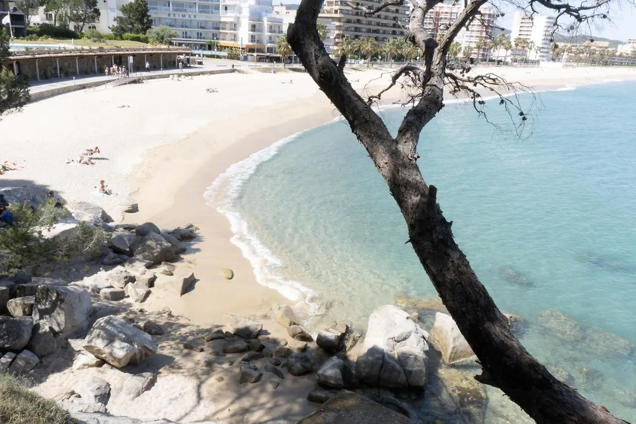 Apartment Apartamento Con Parking A 50M De La Playa Sant Antoni De Calonge